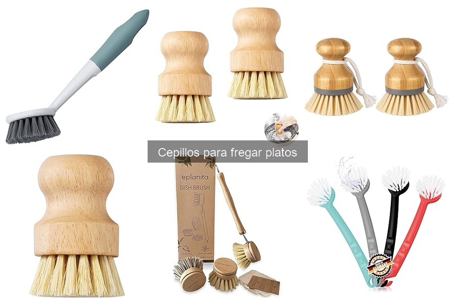 ¿Qué son los cepillos para fregar platos? Características y Usos