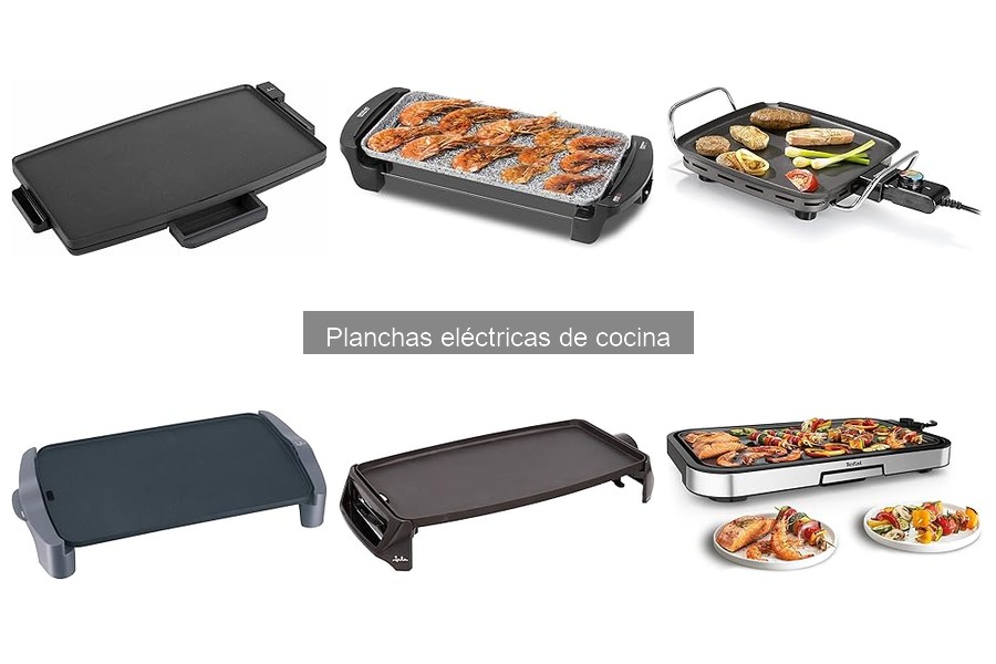 Recetas fáciles para preparar en una plancha eléctrica